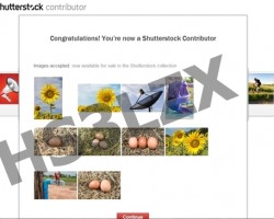 ก้าวแรกนักขายภาพออนไลน์กับ Shutterstock